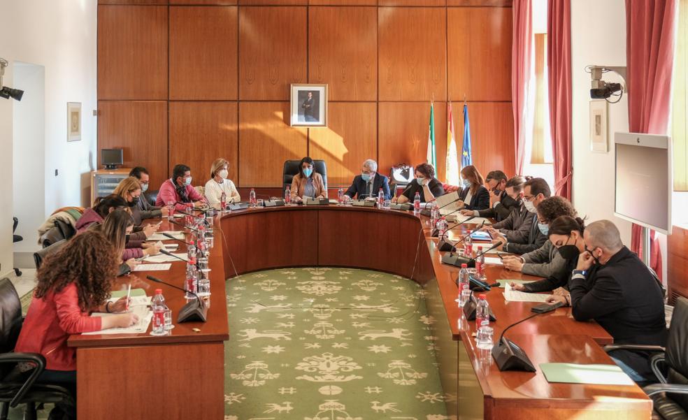 La Junta apura la tramitación urgente de dos leyes en el último tramo de la legislatura