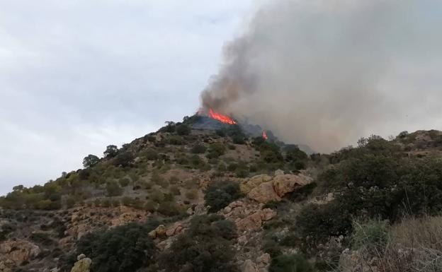 Extinguido el incendio forestal declarado este viernes en un paraje de Almogía