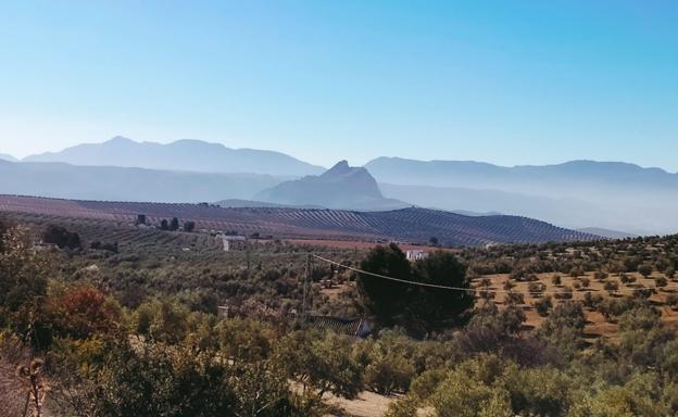 La Junta pone cifras al recorte de la PAC en Málaga: 7.400 agricultores percibirán un 10% menos de ayudas europeas