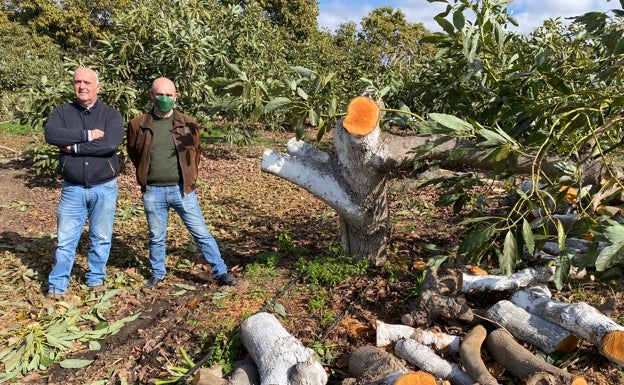 El SOS del campo ante la sequía: «Es una catástrofe»