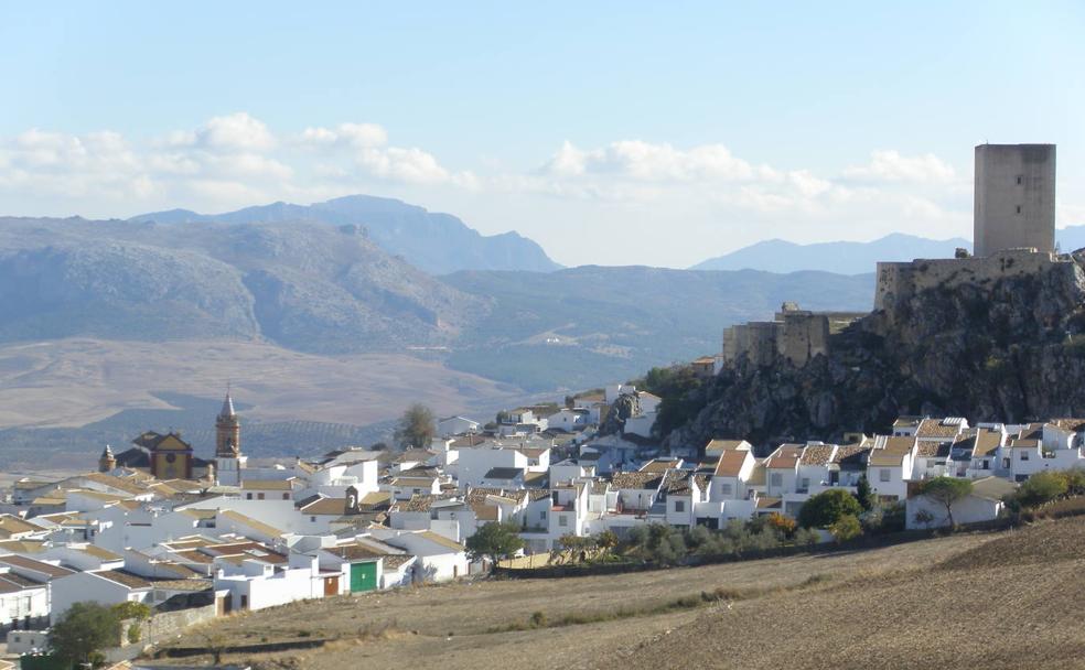 Los pueblos de Málaga que sobrevuelan los buitres leonados