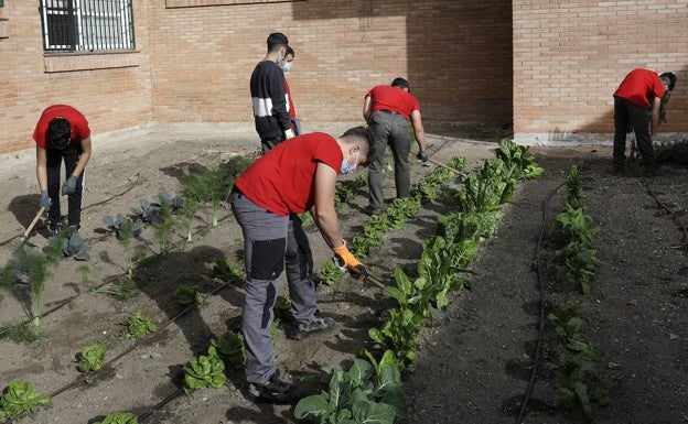 «Tienes que aportar un título para que te valoren en la vida»