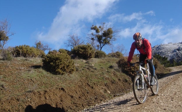 800 kilómetros de rutas y bicicletas en alquiler: la Sierra Norte de Málaga acoge el proyecto 'Bike Territory'