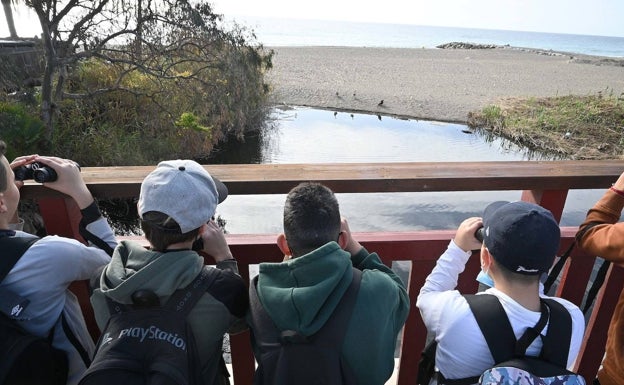 El Programa de Educación Ambiental acerca la naturaleza de Marbella a los más jóvenes