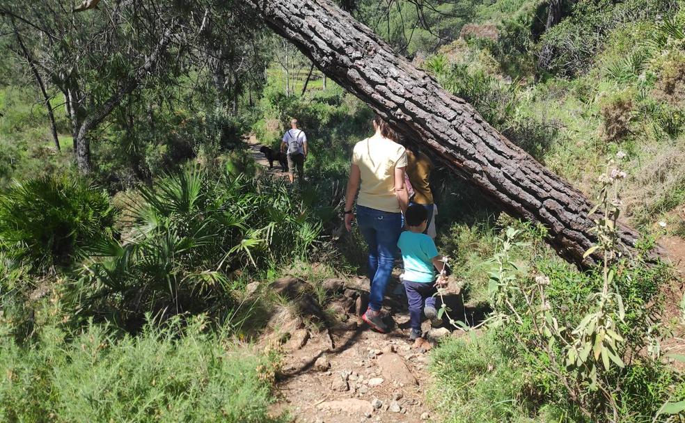 Quince rutas de senderismo para hacer con los niños en Semana Blanca en Málaga