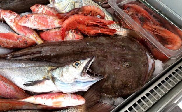 Otra manera de ver el pescado