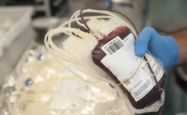 Campaña de donación de sangre en Málaga: comienza la segunda fase entre los universitarios