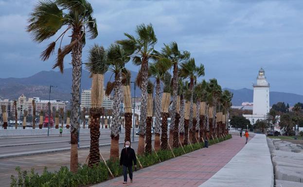 Cortes en el Cercanías de Málaga, un herido y hasta 30 incidencias por el fuerte viento