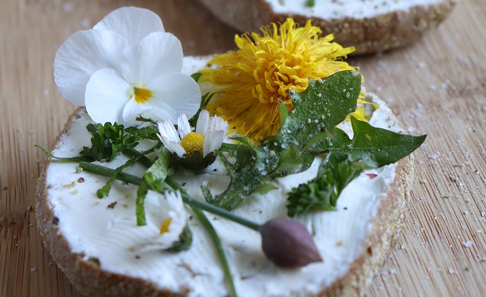 Flores que se comen, una tendencia culinaria en auge