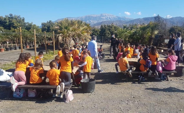 Cerca de 700 alumnos de la provincia elaboran 'bombas de semillas' para recuperar zonas arrasadas por incendios