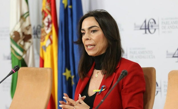 El Parlamento aprueba pedir a la Fundación Unicaja información que aclare la situación de Medel