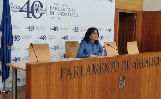 El PSOE sospecha de los contratos de emergencia de la Junta y reclama información sobre sus montantes y adjudicatarios