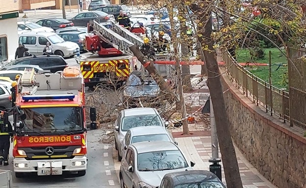 Málaga registra una veintena de incidencias por el viento