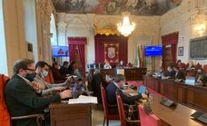 El Ayuntamiento de Málaga no ve prioritario crear un consejo de Medio Ambiente con organizaciones ecologistas