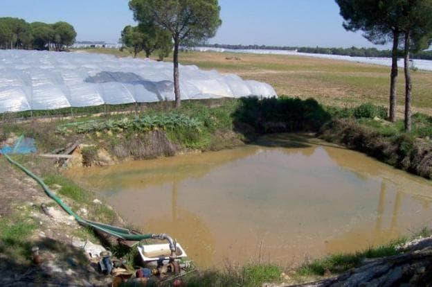 Balsa de riego junto a uno de los invernaderos de cultivo de la zona de Doñana.  SUR