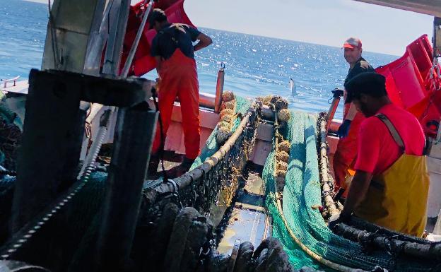 Andalucía eximirá a pescadores de tasas portuarias y pesqueras en puertos y bonificará tasas a sector agrario