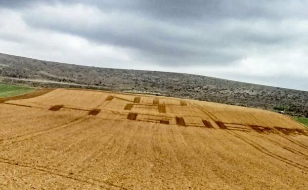 Un agricultor ara un enorme «No a la guerra» en Guadalajara