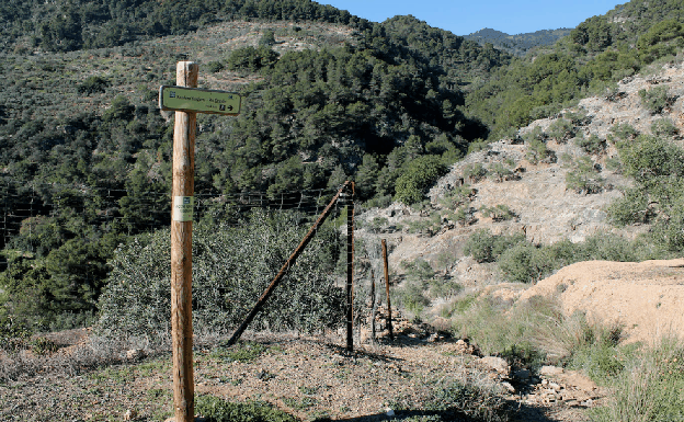 Diez rutas de senderismo que pasan junto a saltos de agua y nacimientos en Málaga