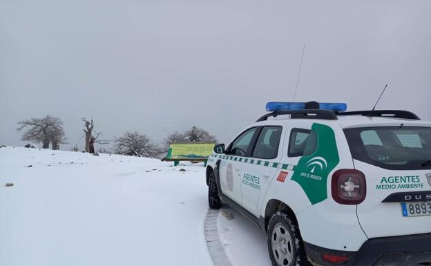 La Sierra de las Nieves vuelve a teñirse de blanco