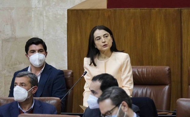 María Isabel Martos toma posesión como parlamentaria de Ciudadanos por Málaga en sustitución de Imbroda