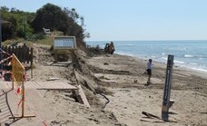 Piden la conservación del cordón dunar en Marbella para proteger las playas