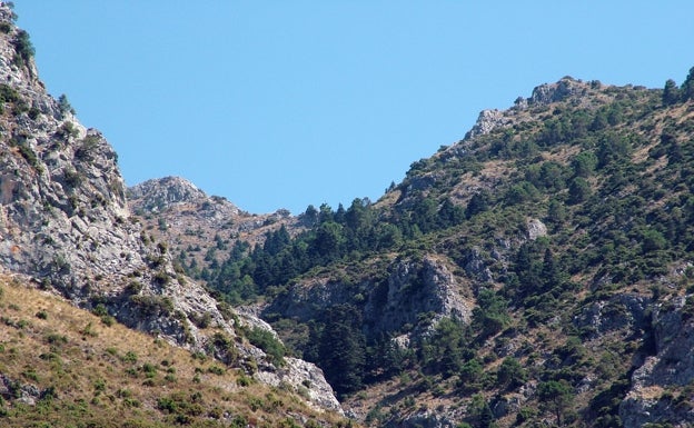 La Diputación proyecta dos nuevos miradores y la mejora de varios carriles en la Sierra de las Nieves