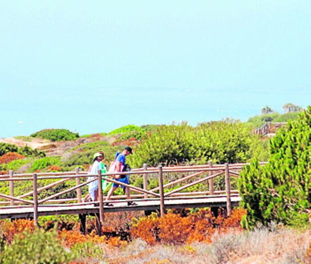 Marbella | Las Dunas de Artola, el paisaje de Cabopino rompe todos los tópicos