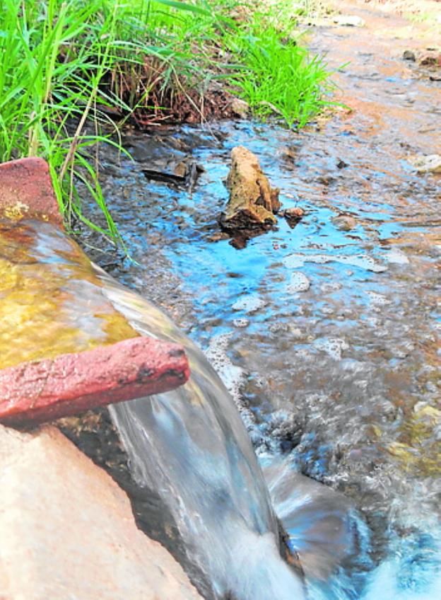 Almargen | El arroyo Salado, un manantial de aguas iodadas en el norte de la comarca