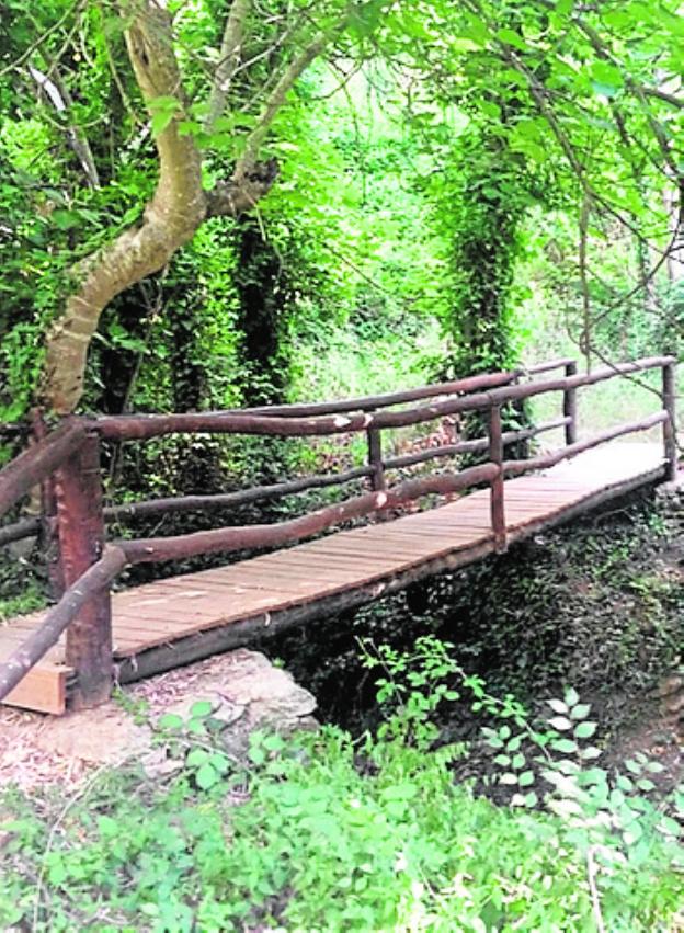 Arriate | La garganta del Arroyo de la Ventilla, un valioso enclave ribereño