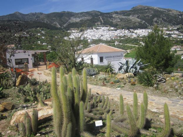 Casarabonela | El Jardín Botánico del Cactus y Otras Suculentas, una colección inaudita en Andalucía