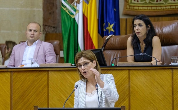 Cuatro diputados andaluces de Ciudadanos dejan el partido por sus diferencias con la dirección