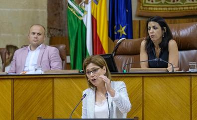 Cuatro diputados andaluces de Ciudadanos dejan el partido por sus diferencias con la dirección