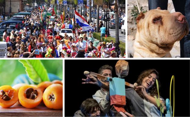 Fiestas en la provincia, libros y espectáculos para disfrutar del puente de mayo en Málaga