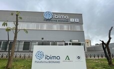 Investigadores del Ibima de Málaga desarrollan una escala para diagnosticar el daño de los fármacos en el hígado
