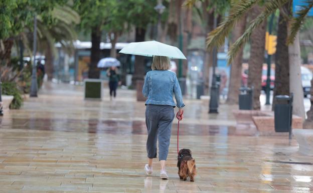 Vuelve la lluvia a Málaga este martes, con aviso amarillo en Ronda y Antequera