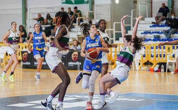 Los equipos júniors del Unicaja, en cuartos de final del Campeonato de España