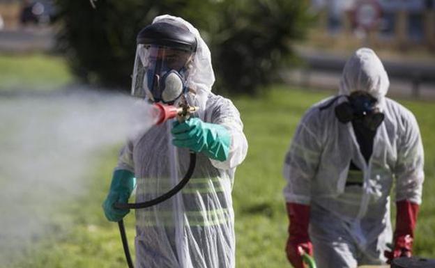 La Junta detecta riesgo de la fiebre del Nilo Occidental en ocho municipios de Málaga