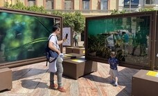 Museos para el 'FIND': La biodiversidad del planeta ocupa la Plaza de la Constitución