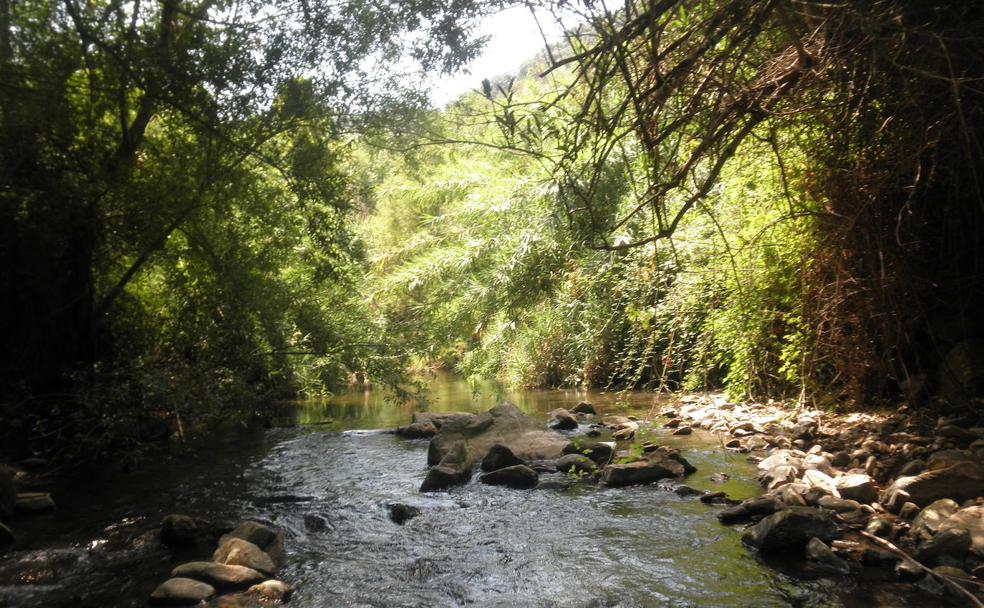 La primavera pone en valor el 'corazón verde' de Málaga