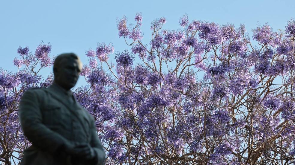 Málaga florece con la explosión de la primavera
