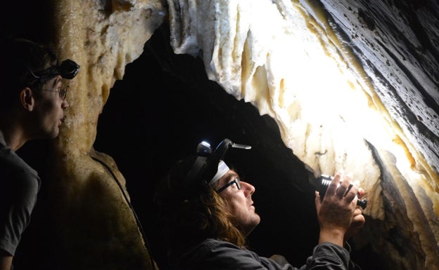 La Junta de Andalucía edita una nueva guía de la Cueva de Ardales escrita por sus investigadores