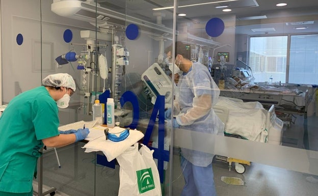 Desciende el número de hospitalizados por Covid en Málaga, pero hay ocho nuevas muertes