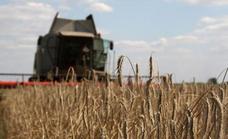 El plan para la exportación de grano desde Ucrania está en «fase avanzada»