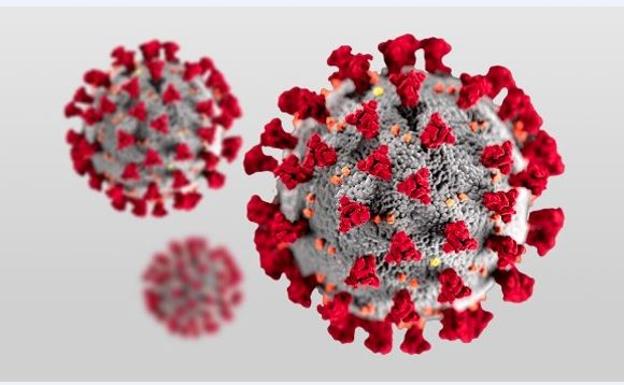 Las tres variantes de Ómicron que escapan a la inmunidad por infección previa e incluso a las tres dosis