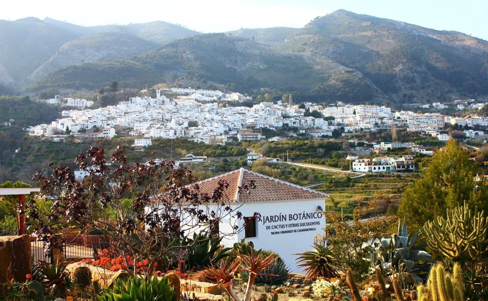 Un oasis de cactus en plena Sierra de las Nieves