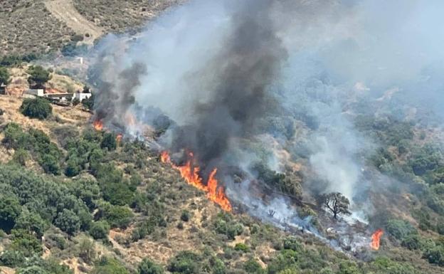 Extinguido un incendio forestal declarado este sábado en el paraje La Gallega de Ojén