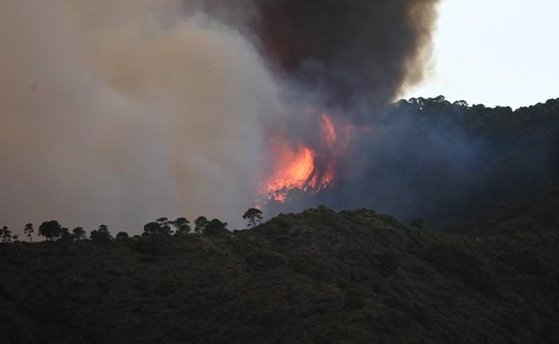 Incendio de Sierra Bermeja, en directo | Más de 100 efectivos terrestres trabajan de noche