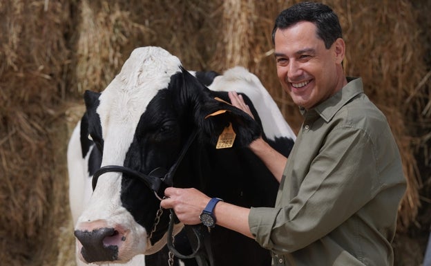 Juanma Moreno se reencuentra con la vaca a la que preguntó al oído si votaría al PP