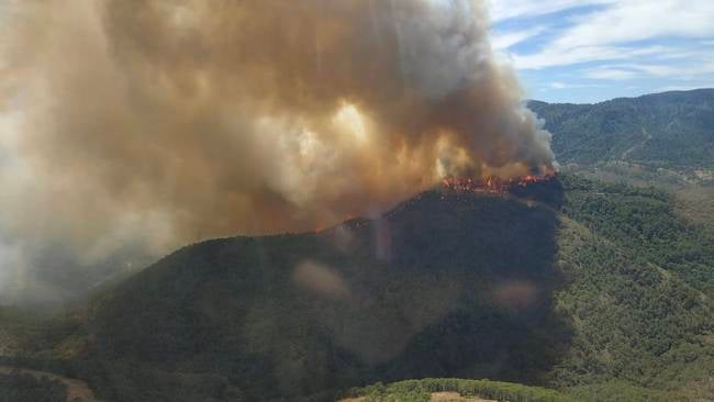 Un bombero forestal, herido grave en el incendio de Sierra Bermeja