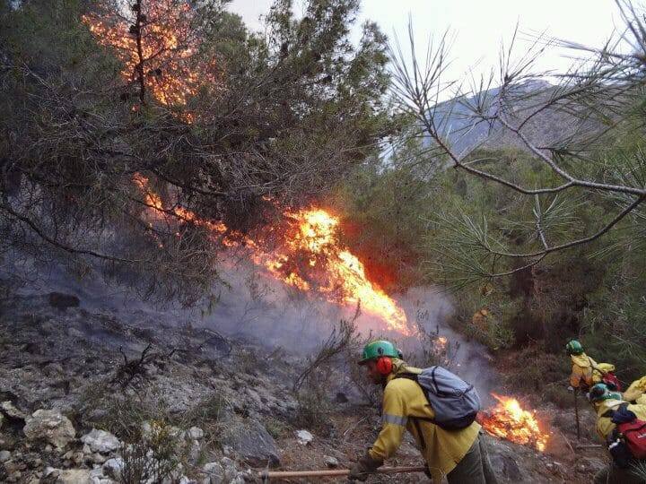 Los datos clave del incendio de Sierra Bermeja